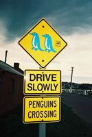 ペンギン通行注意の標識