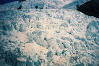 Franz Josef Glacier(氷河)の眺めその2