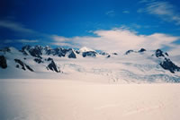 Franz Josef Glacier(氷河)の眺めその3