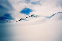 Franz Josef Glacier(氷河)の眺めその5