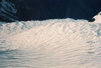 Franz Josef Glacier(氷河)の眺めその6