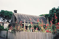 Richmond Cottage