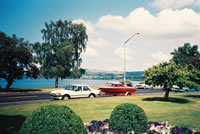 Lake Taupoと船を牽く車