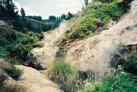 Wairakei  Thermal  Valley